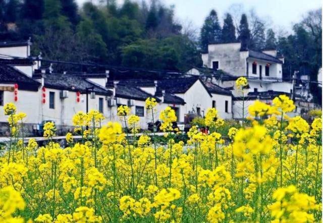 Xishan Wutong Qinyuan Huangshan Dış mekan fotoğraf