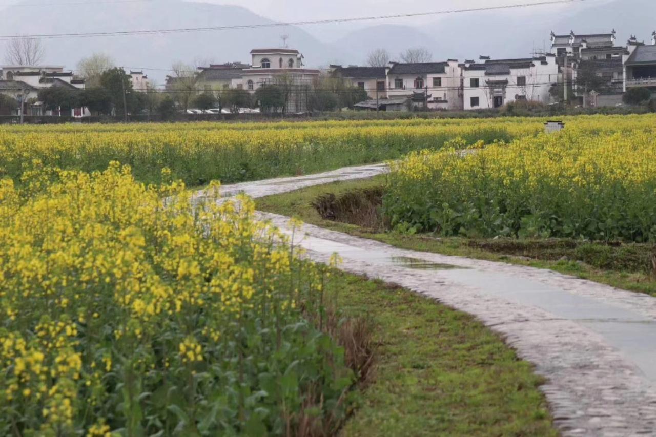 Xishan Wutong Qinyuan Huangshan Dış mekan fotoğraf